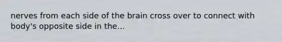 nerves from each side of the brain cross over to connect with body's opposite side in the...