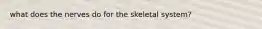 what does the nerves do for the skeletal system?