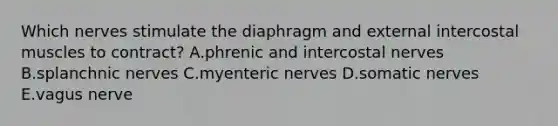 Which nerves stimulate the diaphragm and external intercostal muscles to contract? A.phrenic and intercostal nerves B.splanchnic nerves C.myenteric nerves D.somatic nerves E.vagus nerve