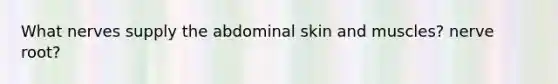 What nerves supply the abdominal skin and muscles? nerve root?