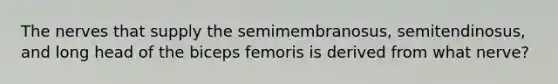 The nerves that supply the semimembranosus, semitendinosus, and long head of the biceps femoris is derived from what nerve?