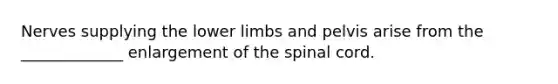 Nerves supplying the <a href='https://www.questionai.com/knowledge/kF4ILRdZqC-lower-limb' class='anchor-knowledge'>lower limb</a>s and pelvis arise from the _____________ enlargement of <a href='https://www.questionai.com/knowledge/kkAfzcJHuZ-the-spinal-cord' class='anchor-knowledge'>the spinal cord</a>.