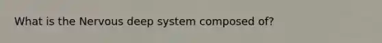 What is the Nervous deep system composed of?