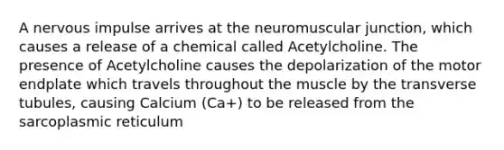 A ​nervous impulse arrives at the neuromuscular junction, which causes a release of a chemical called Acetylcholine. The presence of Acetylcholine causes the depolarization of the motor endplate which travels throughout the muscle by the transverse tubules, causing Calcium (Ca+) to be released from the sarcoplasmic reticulum