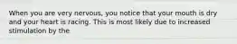 When you are very nervous, you notice that your mouth is dry and your heart is racing. This is most likely due to increased stimulation by the