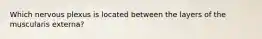 Which nervous plexus is located between the layers of the muscularis externa?