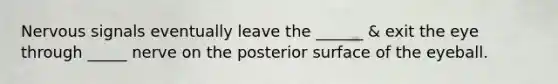 Nervous signals eventually leave the ______ & exit the eye through _____ nerve on the posterior surface of the eyeball.