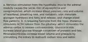 a. Nervous stimulation from the hypothala- mus to the adrenal medulla causes the secre- tion of epinephrine and norepinephrine, which increase blood pressure, rate and volume of heartbeat, breathing rate, and metabolic rate; stimulate glycogen hydrolysis and fatty acid release; and change blood flow patterns. b. A releasing hormone from the hypo- thalamus stimulates ACTH release from the pituitary, which stimulates the adrenal cortex to release corticosteroids. Glucocorticoids increase blood glucose through conversion of proteins and fats. Mineralocorticoids increase blood volume and pressure by stimulating the kidney to reabsorb sodium ions and water.