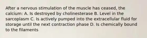 After a nervous stimulation of the muscle has ceased, the calcium: A. Is destroyed by cholinesterase B. Level in the sarcoplasm C. Is actively pumped into the extracellular fluid for storage until the next contraction phase D. Is chemically bound to the filaments