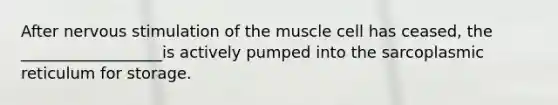 After nervous stimulation of the muscle cell has ceased, the __________________is actively pumped into the sarcoplasmic reticulum for storage.