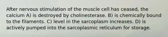 After nervous stimulation of the muscle cell has ceased, the calcium A) is destroyed by cholinesterase. B) is chemically bound to the filaments. C) level in the sarcoplasm increases. D) is actively pumped into the sarcoplasmic reticulum for storage.