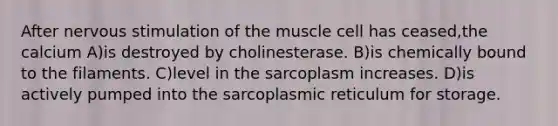 After nervous stimulation of the muscle cell has ceased,the calcium A)is destroyed by cholinesterase. B)is chemically bound to the filaments. C)level in the sarcoplasm increases. D)is actively pumped into the sarcoplasmic reticulum for storage.