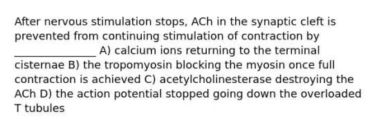 After nervous stimulation stops, ACh in the synaptic cleft is prevented from continuing stimulation of contraction by _______________ A) calcium ions returning to the terminal cisternae B) the tropomyosin blocking the myosin once full contraction is achieved C) acetylcholinesterase destroying the ACh D) the action potential stopped going down the overloaded T tubules