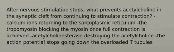 After nervous stimulation stops, what prevents acetylcholine in the synaptic cleft from continuing to stimulate contraction? -calcium ions returning to the sarcoplasmic reticulum -the tropomyosin blocking the myosin once full contraction is achieved -acetylcholinesterase destroying the acetylcholine -the action potential stops going down the overloaded T tubules