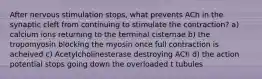 After nervous stimulation stops, what prevents ACh in the synaptic cleft from continuing to stimulate the contraction? a) calcium ions returning to the terminal cisternae b) the tropomyosin blocking the myosin once full contraction is acheived c) Acetylcholinesterase destroying ACh d) the action potential stops going down the overloaded t tubules