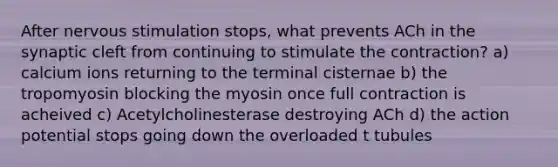 After nervous stimulation stops, what prevents ACh in the synaptic cleft from continuing to stimulate the contraction? a) calcium ions returning to the terminal cisternae b) the tropomyosin blocking the myosin once full contraction is acheived c) Acetylcholinesterase destroying ACh d) the action potential stops going down the overloaded t tubules