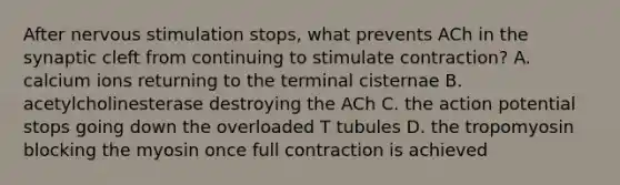 After nervous stimulation stops, what prevents ACh in the synaptic cleft from continuing to stimulate contraction? A. calcium ions returning to the terminal cisternae B. acetylcholinesterase destroying the ACh C. the action potential stops going down the overloaded T tubules D. the tropomyosin blocking the myosin once full contraction is achieved