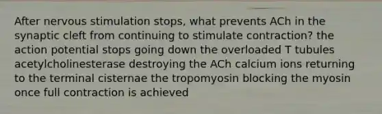 After nervous stimulation stops, what prevents ACh in the synaptic cleft from continuing to stimulate contraction? the action potential stops going down the overloaded T tubules acetylcholinesterase destroying the ACh calcium ions returning to the terminal cisternae the tropomyosin blocking the myosin once full contraction is achieved