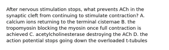 After nervous stimulation stops, what prevents ACh in the synaptic cleft from continuing to stimulate contraction? A. calcium ions returning to the terminal cisternae B. the tropomyosin blocking the myosin once full contraction is achieved C. acetylcholinesterase destroying the ACh D. the action potential stops going down the overloaded t-tubules