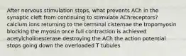 After nervous stimulation stops, what prevents ACh in the synaptic cleft from continuing to stimulate AChreceptors? calcium ions returning to the terminal cisternae the tropomyosin blocking the myosin once full contraction is achieved acetylcholinesterase destroying the ACh the action potential stops going down the overloaded T tubules