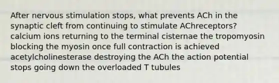 After nervous stimulation stops, what prevents ACh in the synaptic cleft from continuing to stimulate AChreceptors? calcium ions returning to the terminal cisternae the tropomyosin blocking the myosin once full contraction is achieved acetylcholinesterase destroying the ACh the action potential stops going down the overloaded T tubules