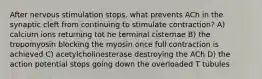 After nervous stimulation stops, what prevents ACh in the synaptic cleft from continuing to stimulate contraction? A) calcium ions returning tot he terminal cisternae B) the tropomyosin blocking the myosin once full contraction is achieved C) acetylcholinesterase destroying the ACh D) the action potential stops going down the overloaded T tubules