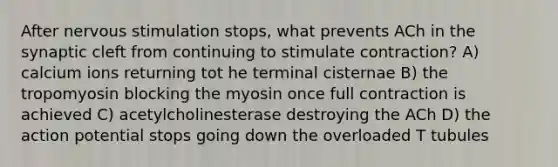 After nervous stimulation stops, what prevents ACh in the synaptic cleft from continuing to stimulate contraction? A) calcium ions returning tot he terminal cisternae B) the tropomyosin blocking the myosin once full contraction is achieved C) acetylcholinesterase destroying the ACh D) the action potential stops going down the overloaded T tubules