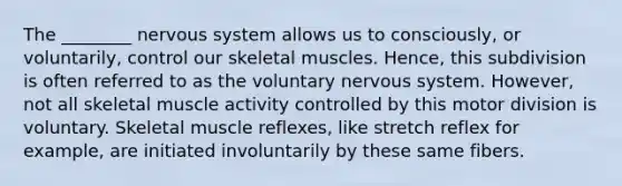 The ________ <a href='https://www.questionai.com/knowledge/kThdVqrsqy-nervous-system' class='anchor-knowledge'>nervous system</a> allows us to consciously, or voluntarily, control our skeletal muscles. Hence, this subdivision is often referred to as the voluntary nervous system. However, not all skeletal muscle activity controlled by this motor division is voluntary. Skeletal muscle reflexes, like stretch reflex for example, are initiated involuntarily by these same fibers.