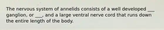 The nervous system of annelids consists of a well developed ___ ganglion, or ___, and a large ventral nerve cord that runs down the entire length of the body.