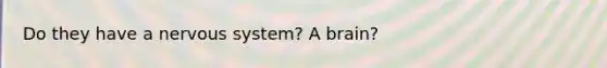 Do they have a <a href='https://www.questionai.com/knowledge/kThdVqrsqy-nervous-system' class='anchor-knowledge'>nervous system</a>? A brain?