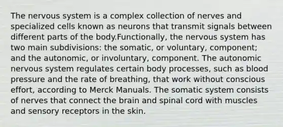 The nervous system is a complex collection of nerves and specialized cells known as neurons that transmit signals between different parts of the body.Functionally, the nervous system has two main subdivisions: the somatic, or voluntary, component; and the autonomic, or involuntary, component. The autonomic nervous system regulates certain body processes, such as blood pressure and the rate of breathing, that work without conscious effort, according to Merck Manuals. The somatic system consists of nerves that connect the brain and spinal cord with muscles and sensory receptors in the skin.