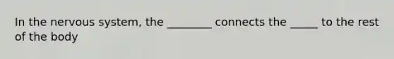 In the nervous system, the ________ connects the _____ to the rest of the body