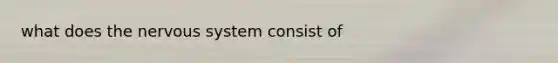 what does the nervous system consist of