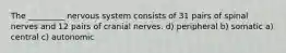 The _________ nervous system consists of 31 pairs of spinal nerves and 12 pairs of cranial nerves. d) peripheral b) somatic a) central c) autonomic