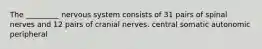 The _________ nervous system consists of 31 pairs of spinal nerves and 12 pairs of cranial nerves. central somatic autonomic peripheral