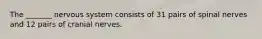 The _______ nervous system consists of 31 pairs of spinal nerves and 12 pairs of cranial nerves.