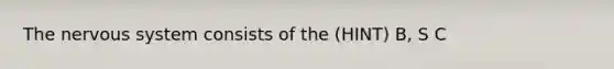 The <a href='https://www.questionai.com/knowledge/kThdVqrsqy-nervous-system' class='anchor-knowledge'>nervous system</a> consists of the (HINT) B, S C