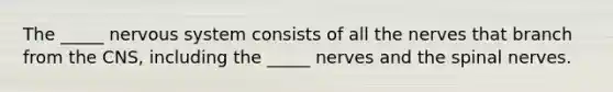 The _____ nervous system consists of all the nerves that branch from the CNS, including the _____ nerves and the spinal nerves.