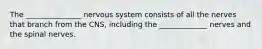 The _______________ nervous system consists of all the nerves that branch from the CNS, including the _____________ nerves and the spinal nerves.
