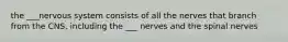 the ___nervous system consists of all the nerves that branch from the CNS, including the ___ nerves and the spinal nerves