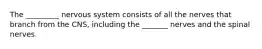 The _________ nervous system consists of all the nerves that branch from the CNS, including the _______ nerves and the spinal nerves.