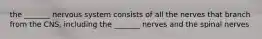 the _______ nervous system consists of all the nerves that branch from the CNS, including the _______ nerves and the spinal nerves