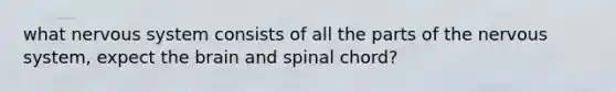 what nervous system consists of all the parts of the nervous system, expect the brain and spinal chord?