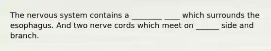 The nervous system contains a ________ ____ which surrounds the esophagus. And two nerve cords which meet on ______ side and branch.