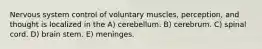 Nervous system control of voluntary muscles, perception, and thought is localized in the A) cerebellum. B) cerebrum. C) spinal cord. D) brain stem. E) meninges.