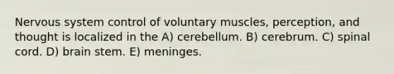 Nervous system control of voluntary muscles, perception, and thought is localized in the A) cerebellum. B) cerebrum. C) spinal cord. D) brain stem. E) meninges.