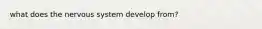 what does the nervous system develop from?
