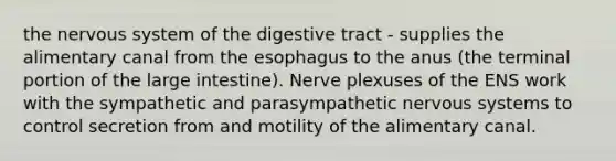 the nervous system of the digestive tract - supplies the alimentary canal from the esophagus to the anus (the terminal portion of the large intestine). Nerve plexuses of the ENS work with the sympathetic and parasympathetic nervous systems to control secretion from and motility of the alimentary canal.