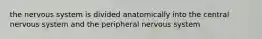 the nervous system is divided anatomically into the central nervous system and the peripheral nervous system