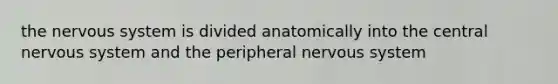 the nervous system is divided anatomically into the central nervous system and the peripheral nervous system